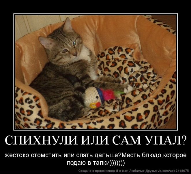 №24, Гульназ Ганеева, Казань №24, Гульназ Ганеева, Казань