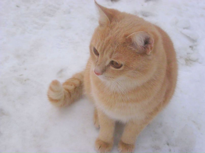 Sharp Sweety | Berlin