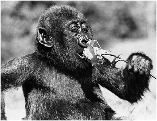 Андрей Парфёнов | Москва