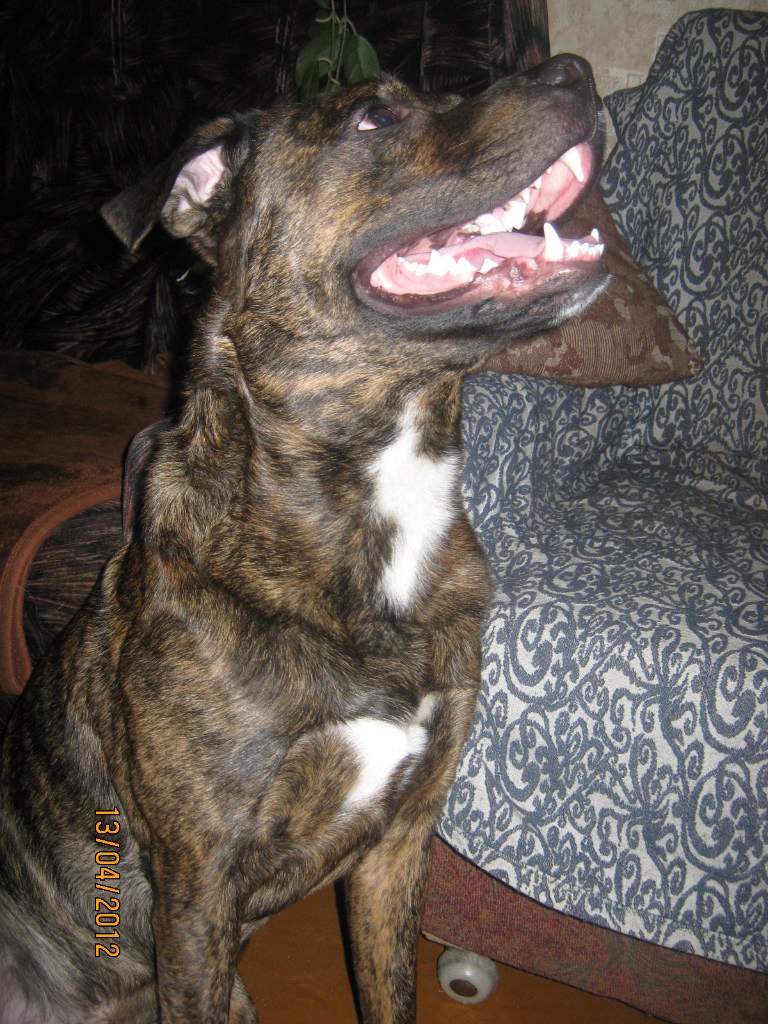 Лев Дегтярев | Омск