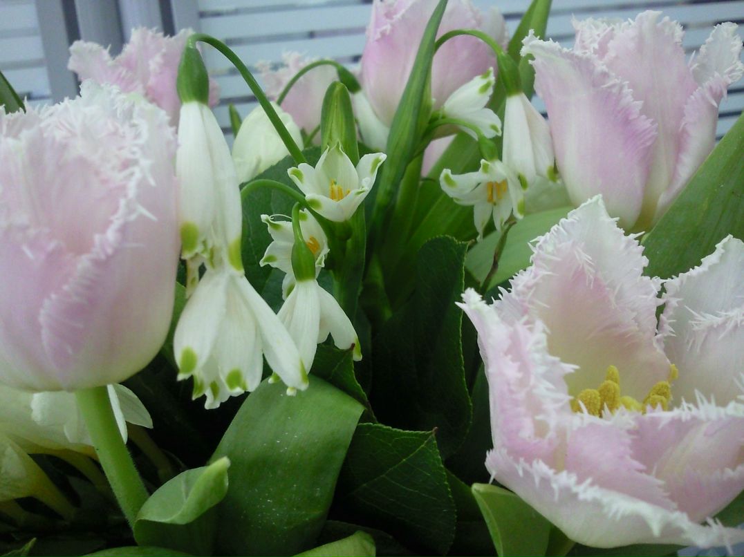 Екатерина Макарова | Москва