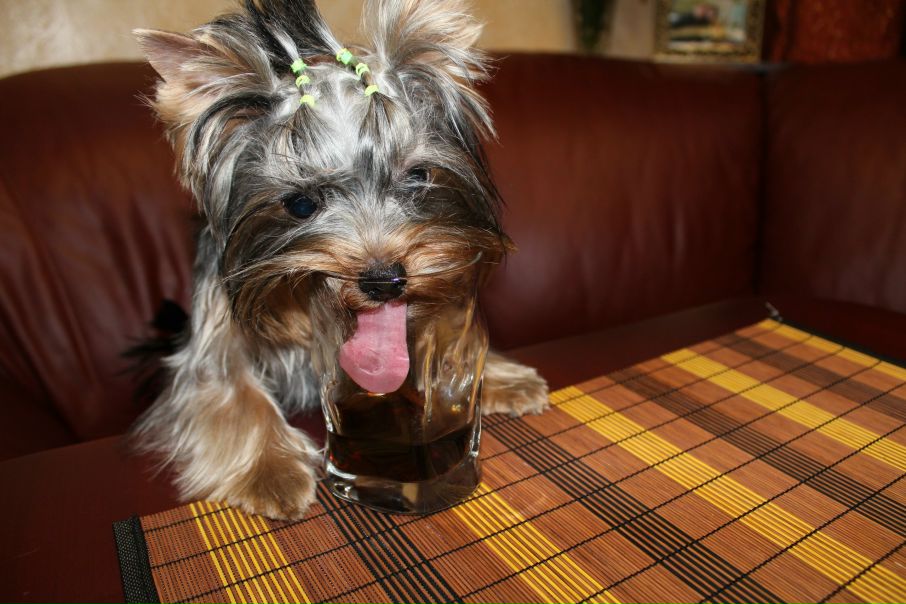 №25, Татьяна Ульянова, 40 лет, Севастополь №25, Татьяна Ульянова, 40 лет, Севастополь