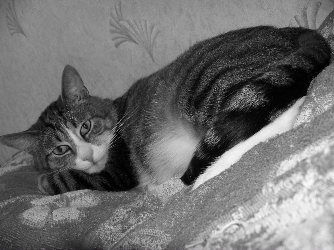 Кристиша Старкова | Мга