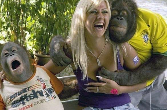 Виктор Сомов | Липецк