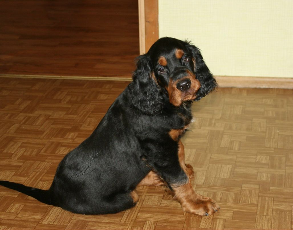 Екатерина Шалыгина | Санкт-Петербург