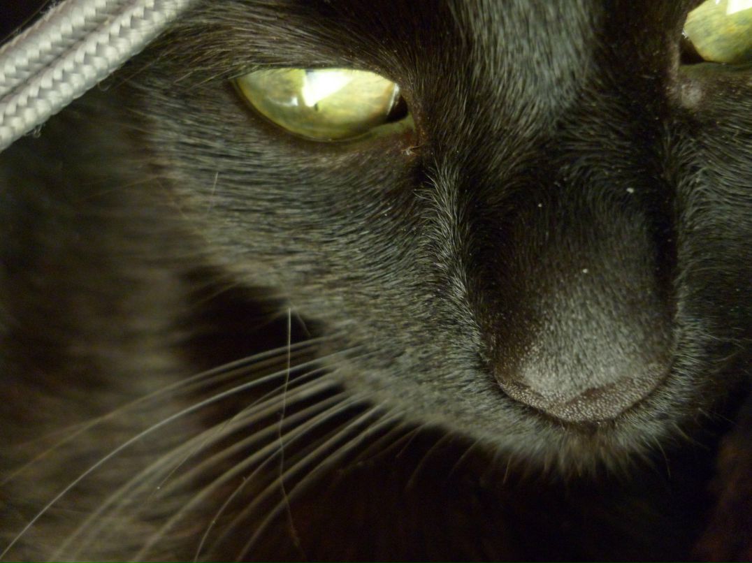 Anyutka Mykhalkova | Karlovy Vary