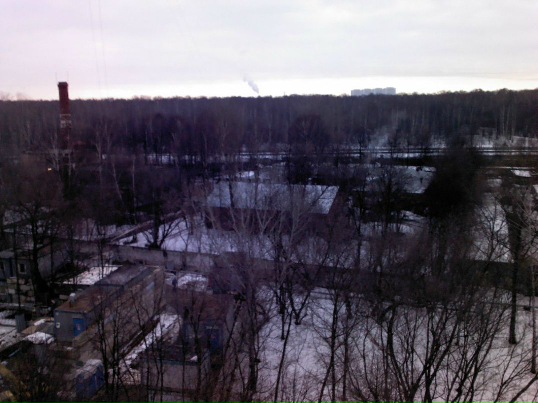 Alex Bird | Москва