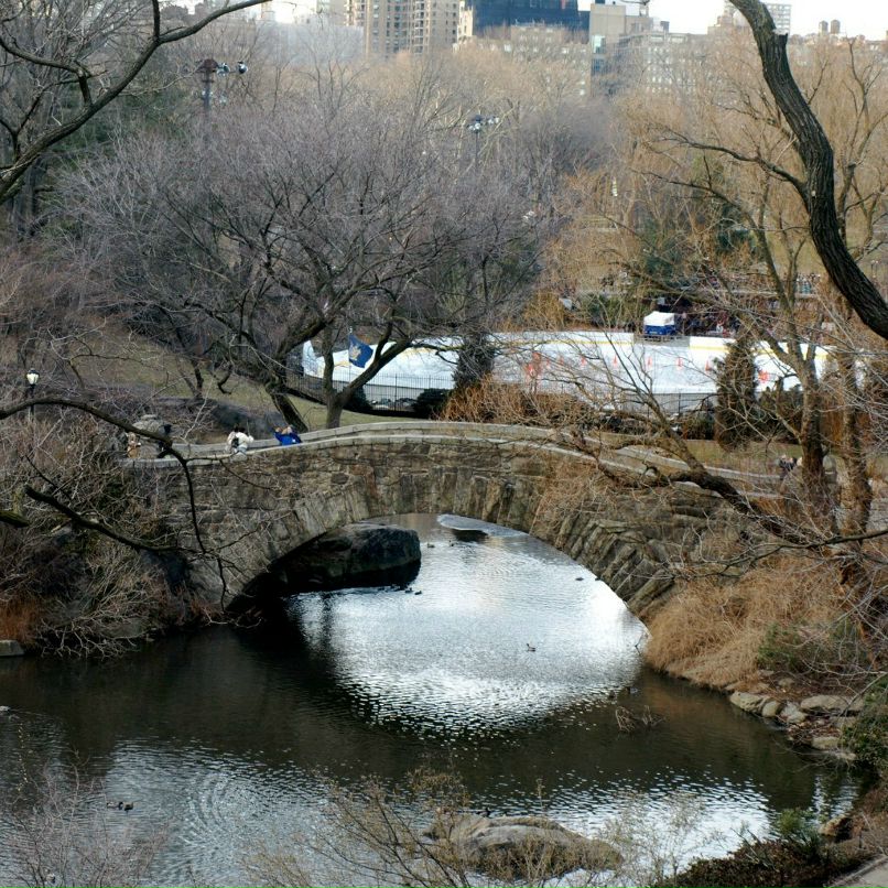 Ксения Зобачева | New York City