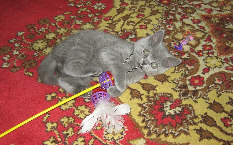 Даша Воробьёва | Кировск