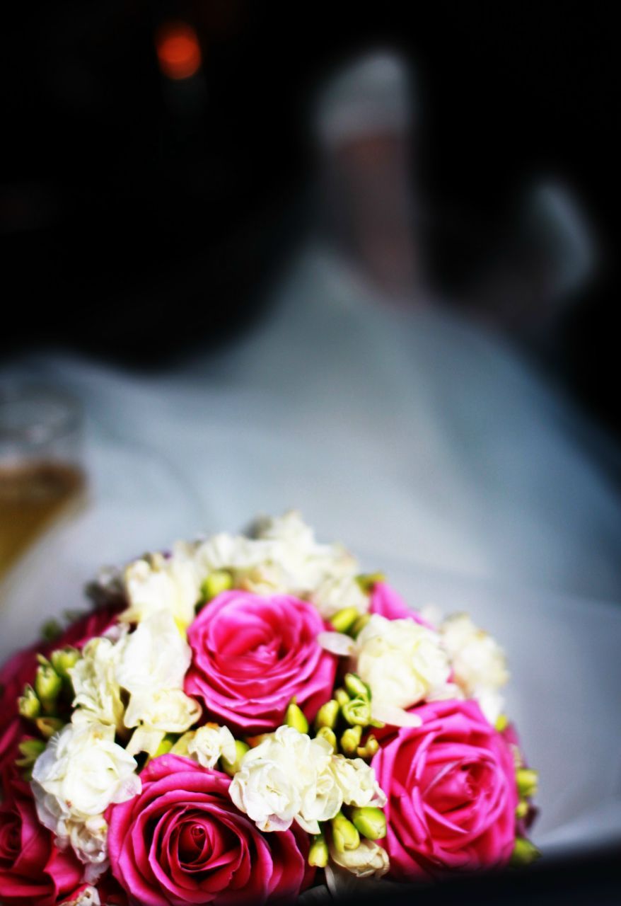 Наталия Старчекова | Красноярск