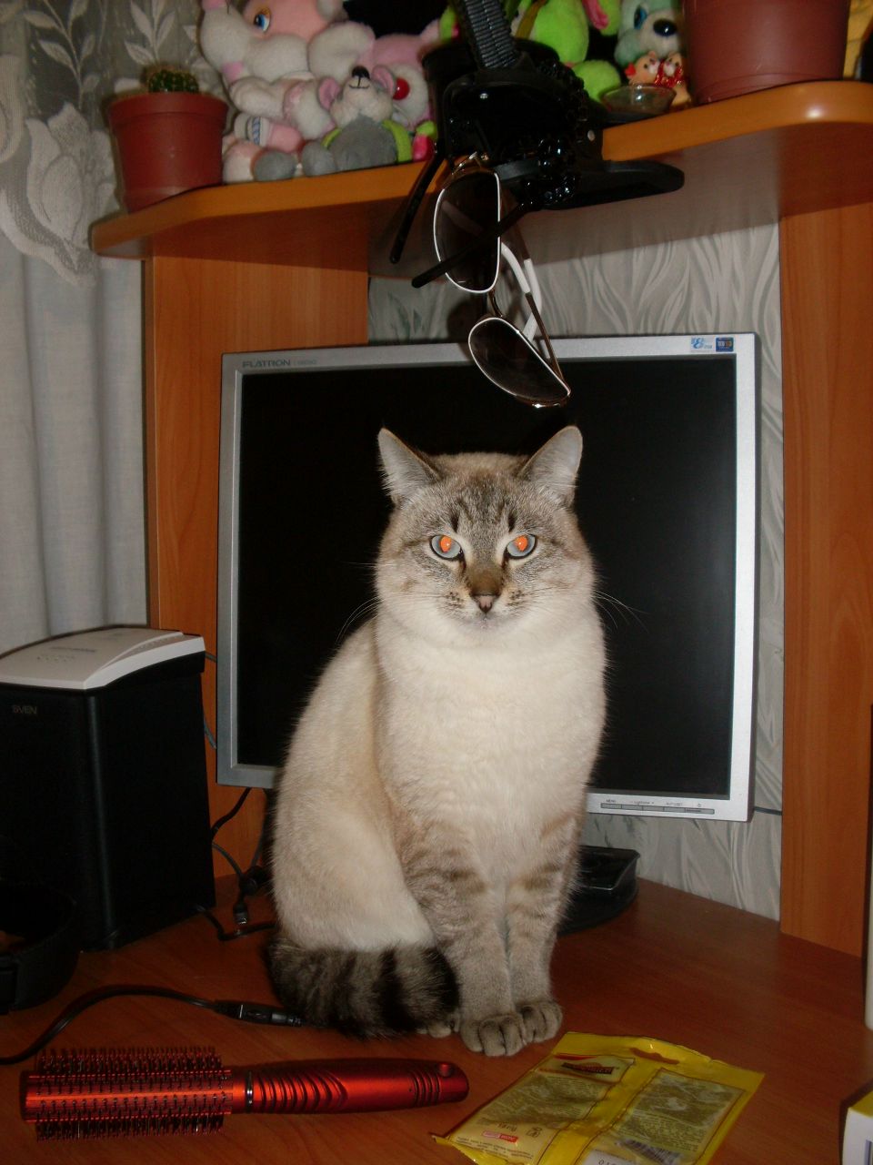 Света Богданова ˙˙·٠•●Самая счастливая●•٠·˙ | Глазов