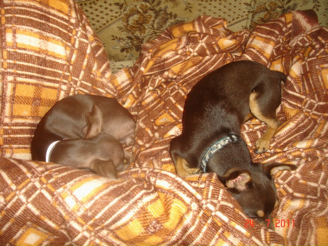 Ольга Соковец | Минск