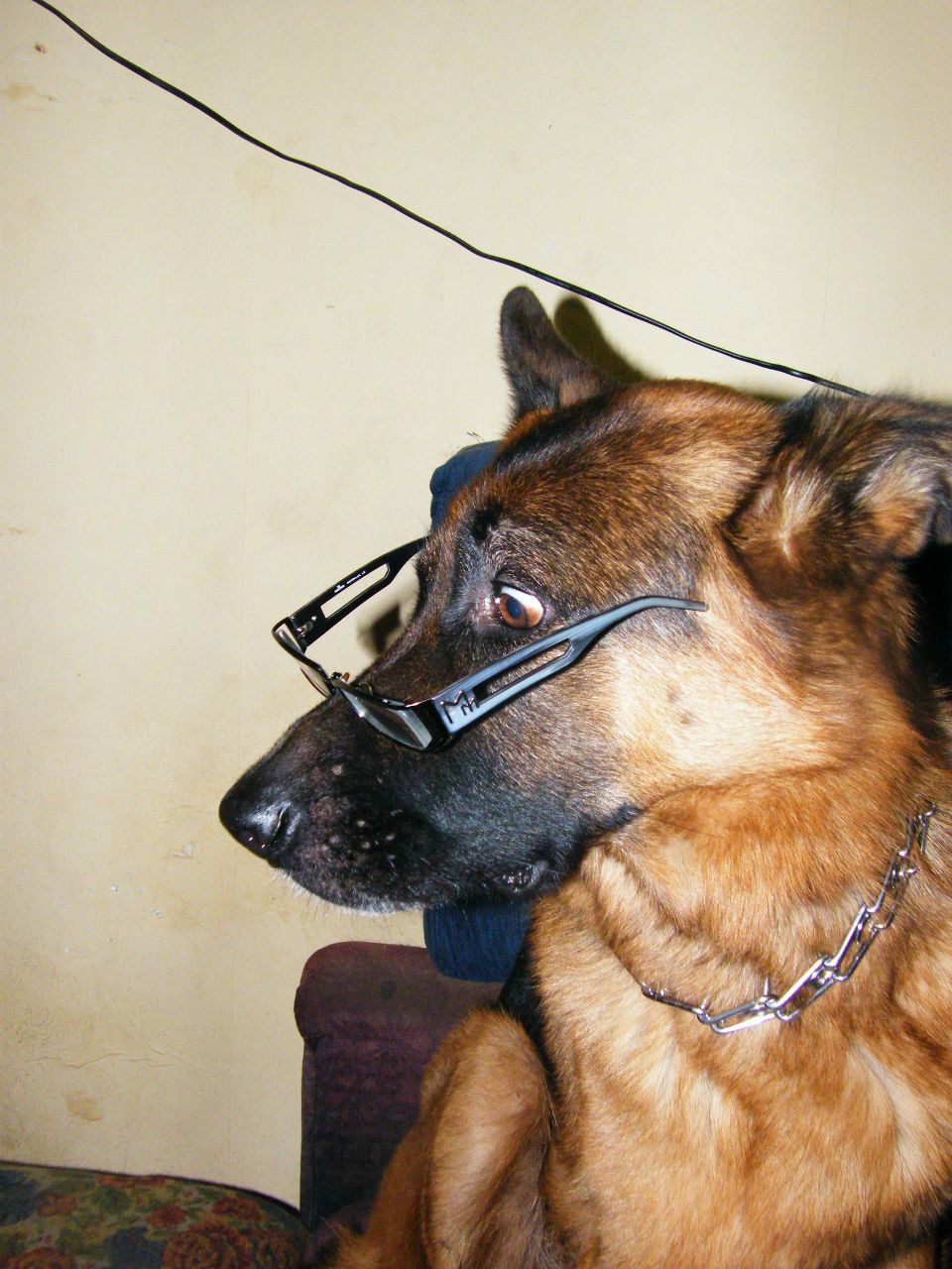 Андрей Коблов | Москва