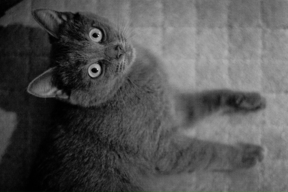 Татьяна Цукерман | 