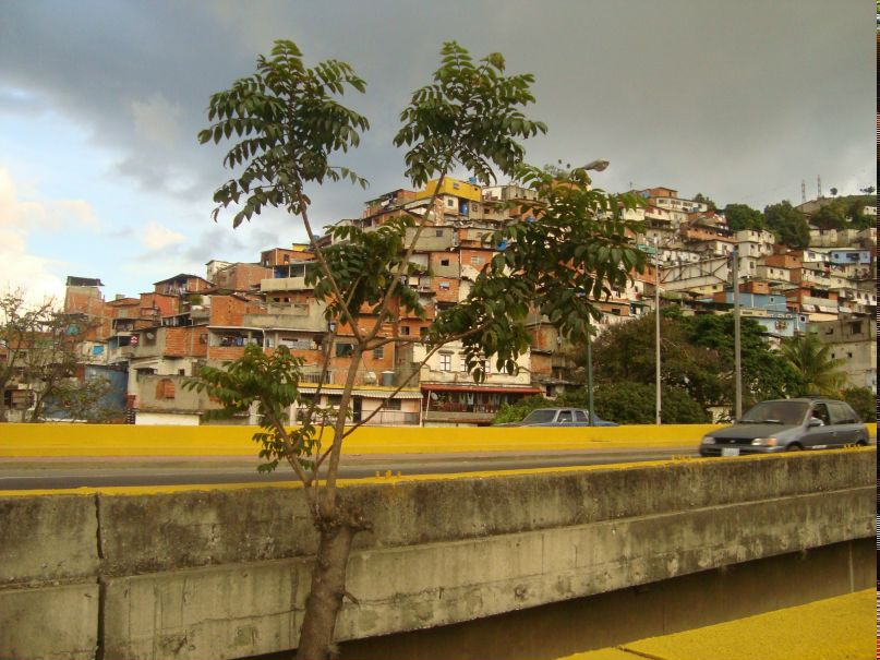 Дмитрий Кищенко | Гатчина