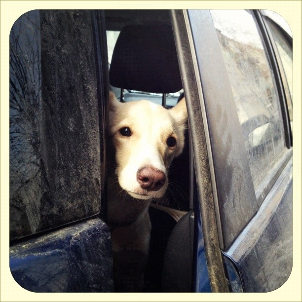 Александр Марышкин | Тюмень