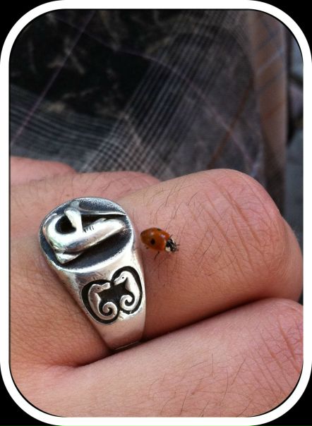 №2, Павел Смирнов, 34 года, Санкт-Петербург, Россия №2, Павел Смирнов, 34 года, Санкт-Петербург, Россия