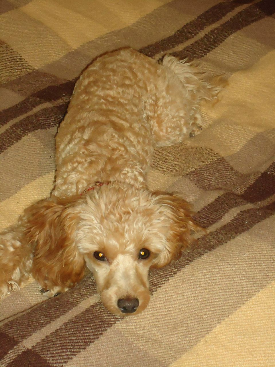 Ирина Эконом | Одесса