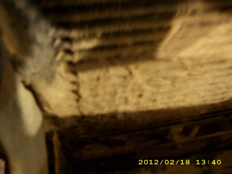 Наталья Кочнева | Санкт-Петербург