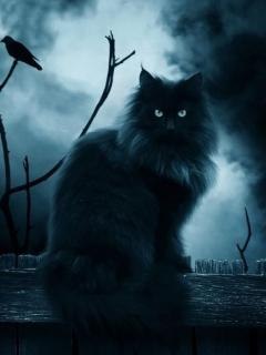 Анастасия Соколовская | Волгоград