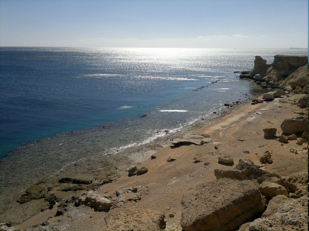 Анита Goodshow-Ru | 