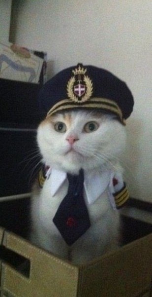 Константин Колдин OkColdine | 