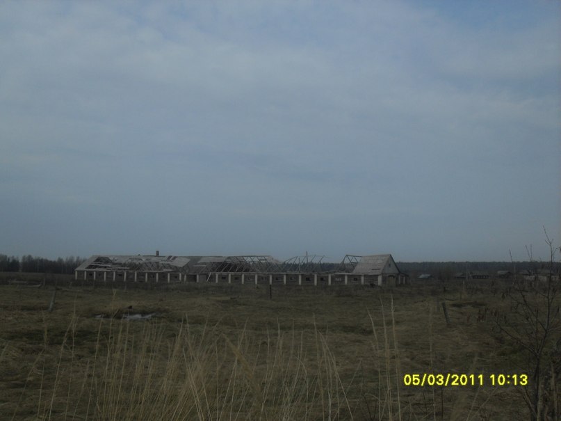 Николай Васин | Пошехонье