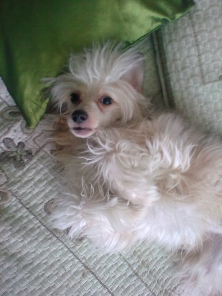 Елизавета Царенная | Омск