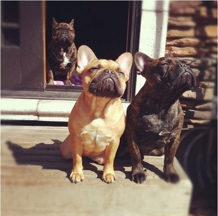 Владислав Жарков | Клайпеда