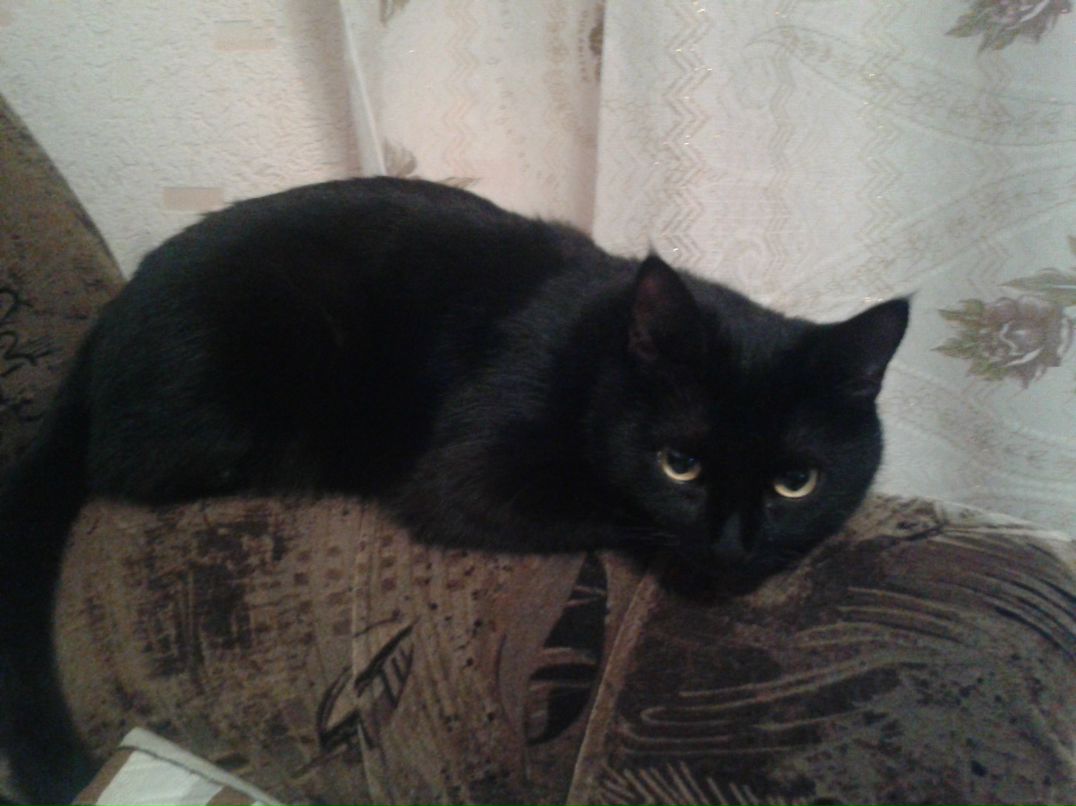 Анна Кузьминых | Ижевск