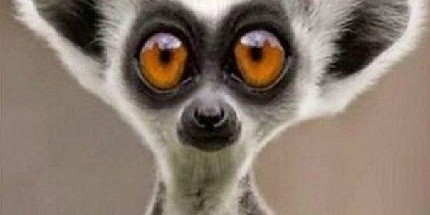 Андрей Снисаренко | Вознесенск