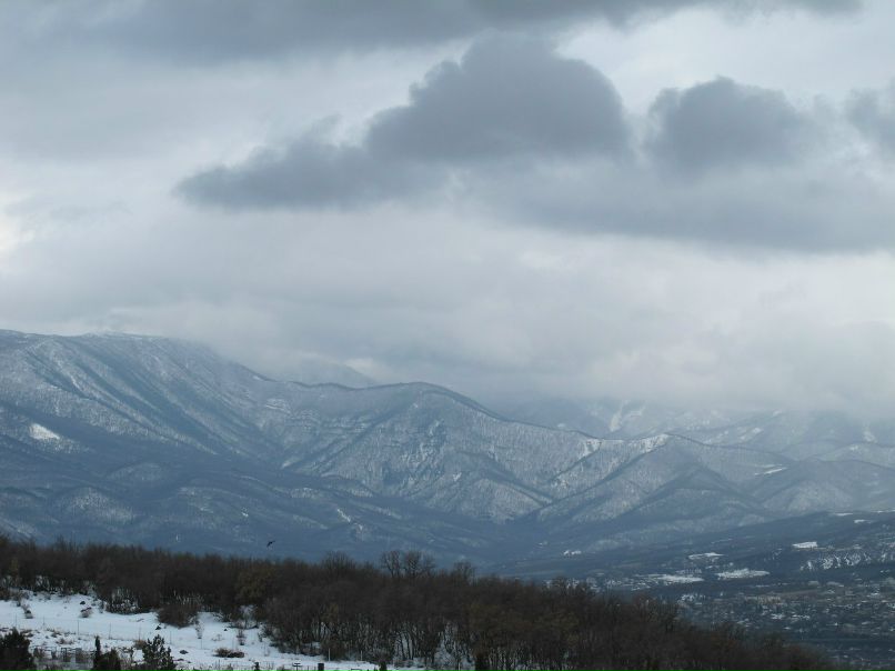 Игорь Баженов | 