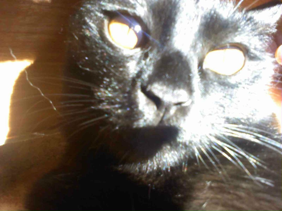 Сергей Кузнецов | Новосибирск