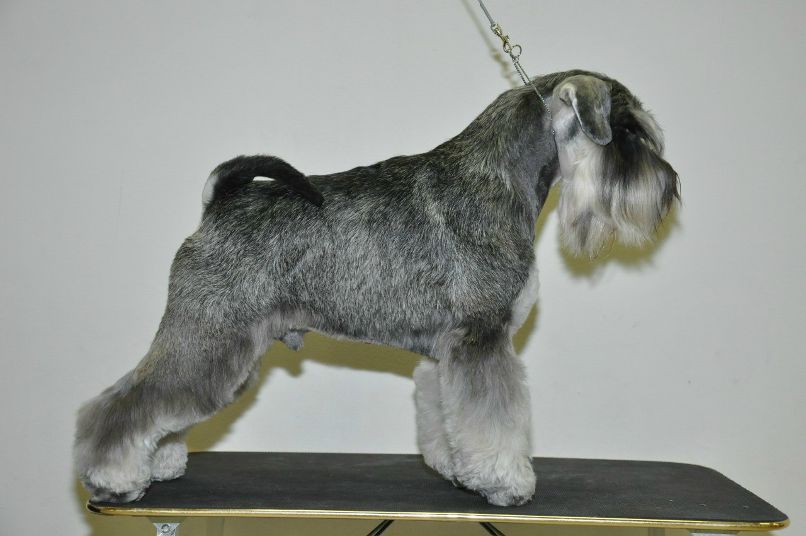 Елена Никитина | Санкт-Петербург