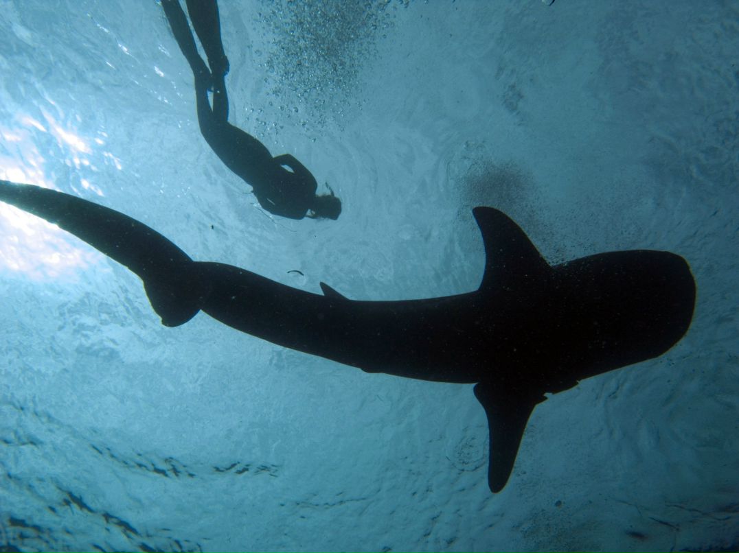 Анастасия Бондаренко [Ananastasiyka:)] | Киев