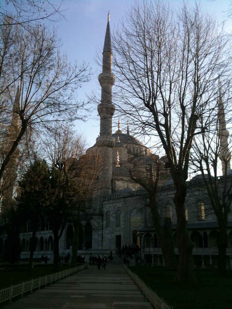 Дмитрий Кузьмичев | Санкт-Петербург