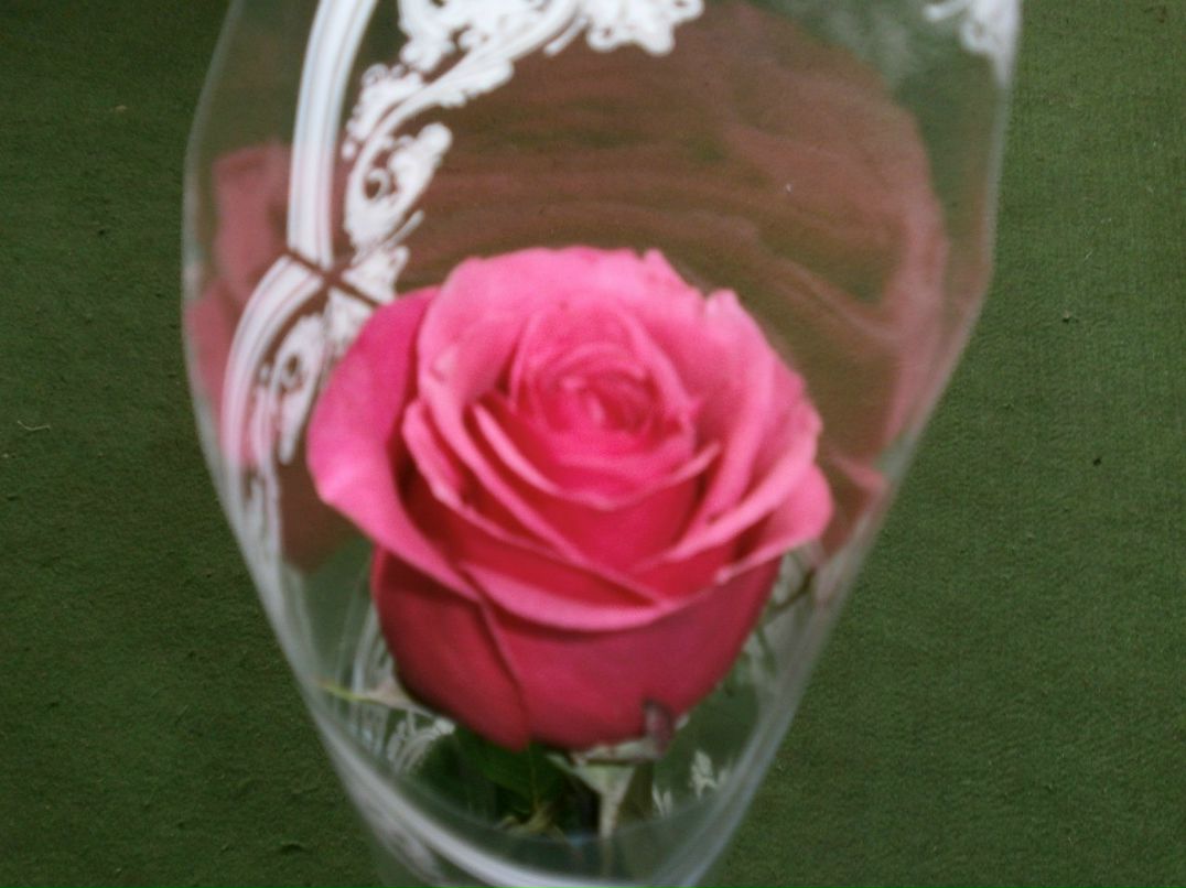 Светлана Нечаева | Череповец