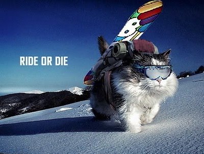 Оксана Коваленко Артуровна | 