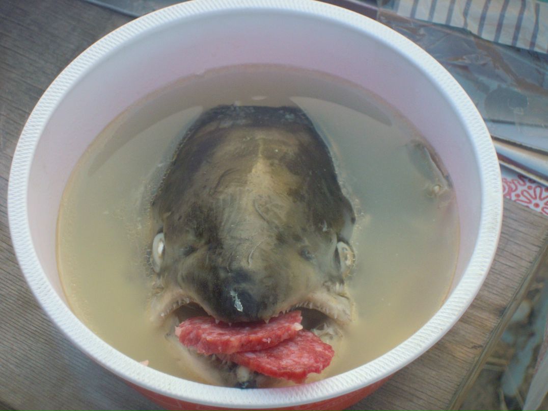 Кристина Гаврилова | Чебоксары