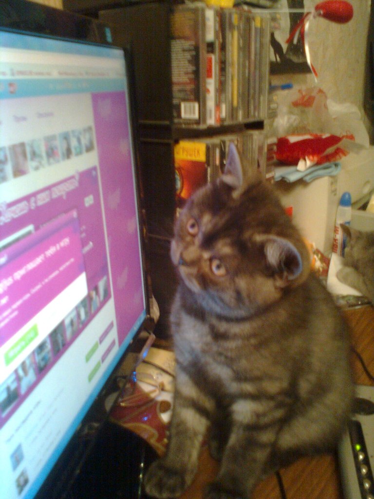 Любовь Щеглова | 