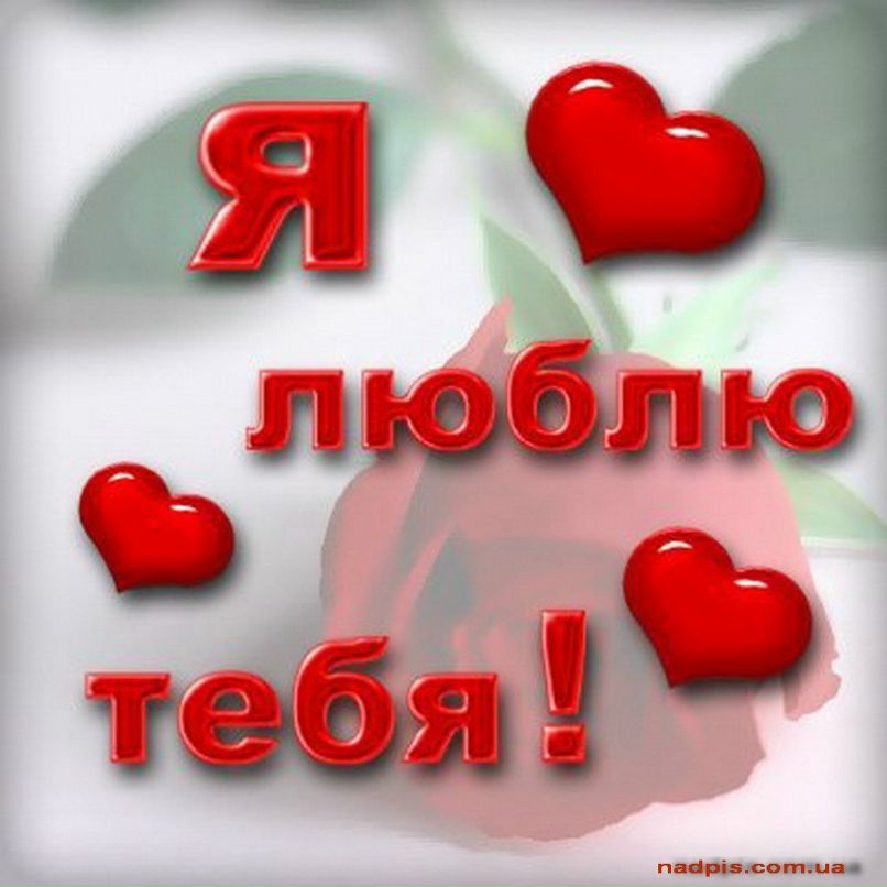 Евгений Рыжов | 