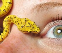 Игорь Божутин | Санкт-Петербург