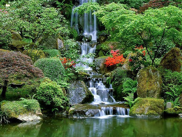 Василий Анкудинов | Полтава