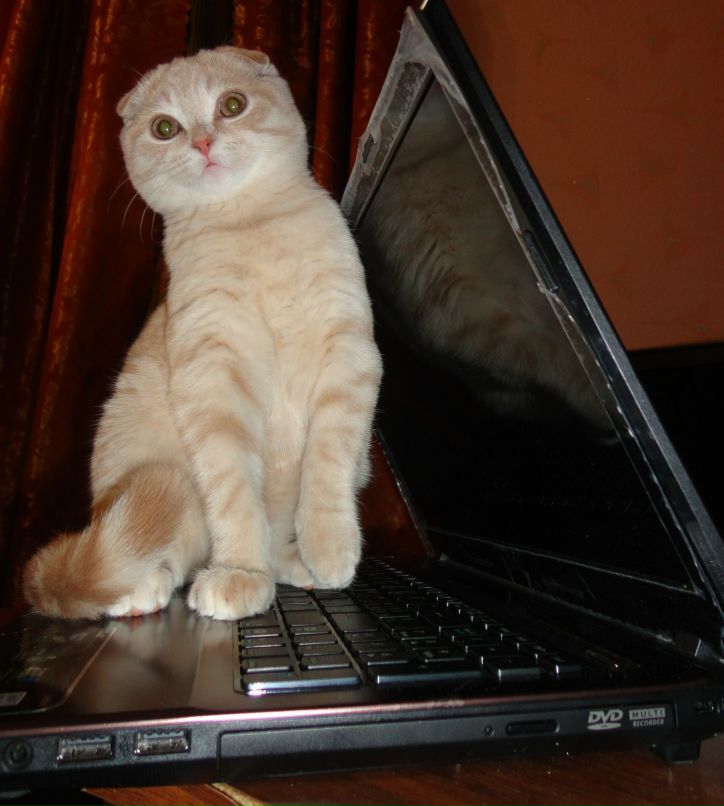 Олеся Воробьёва | Уфа