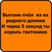 Альмира Шарипова фотография #23