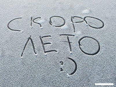 Надежда Винникова | Санкт-Петербург