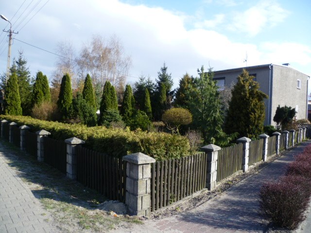 Сергій Довбак | Харьков