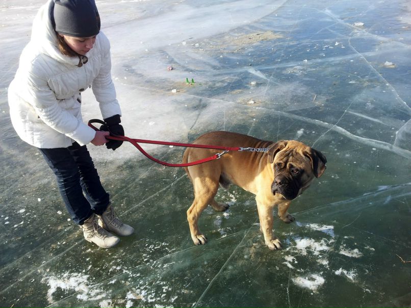 Алина Пинаева | Одесса