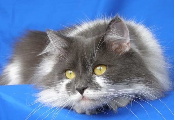 №97, Паша Илларионов, Чебоксары №97, Паша Илларионов, Чебоксары