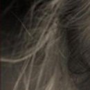 №83, Инна Бачинская, Васильков №83, Инна Бачинская, Васильков